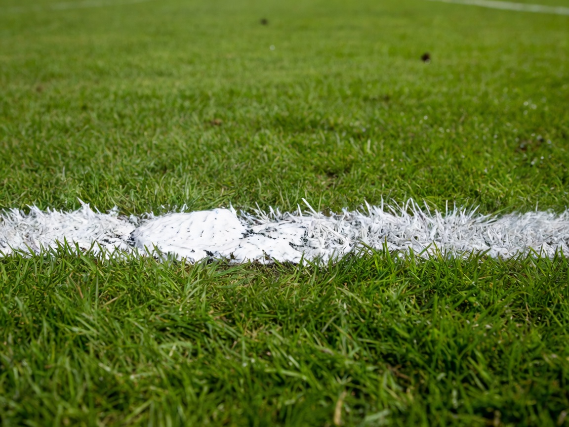 Close-up of a white painted line on a grass football pitch with blurred turf behind it